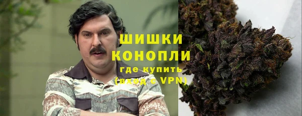молекула духа Алексин