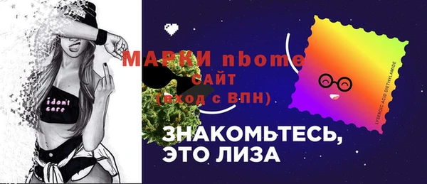 молекула духа Алексин