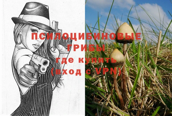 соль ск Алзамай