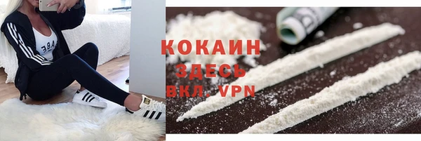 соль ск Алзамай