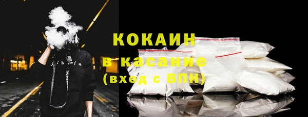 соль ск Алзамай