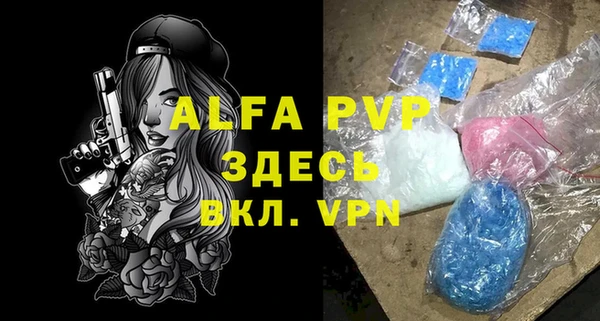 молекула духа Алексин