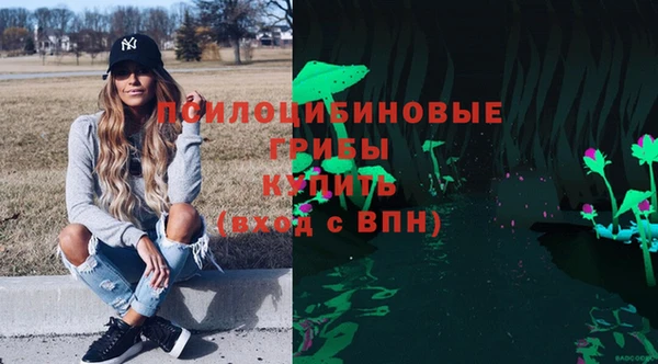 соль ск Алзамай