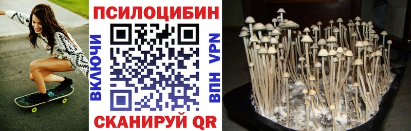 где купить наркотик гидра как зайти Галлюциногенные грибы Psilocybine cubensis Аргун