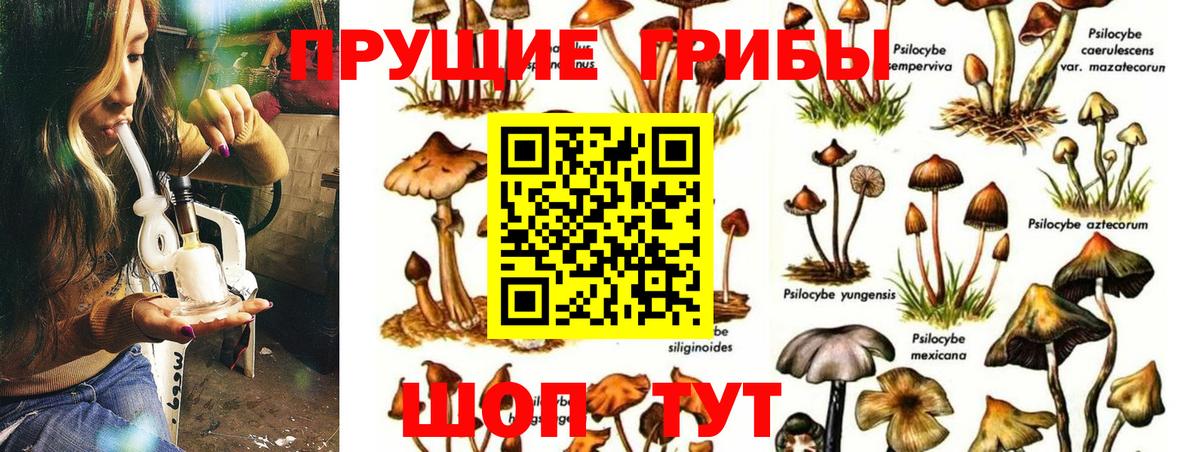 Псилоцибиновые грибы Psilocybine cubensis  Галлюциногенные грибы Magic Shrooms  Вход с VPN  Аргун 