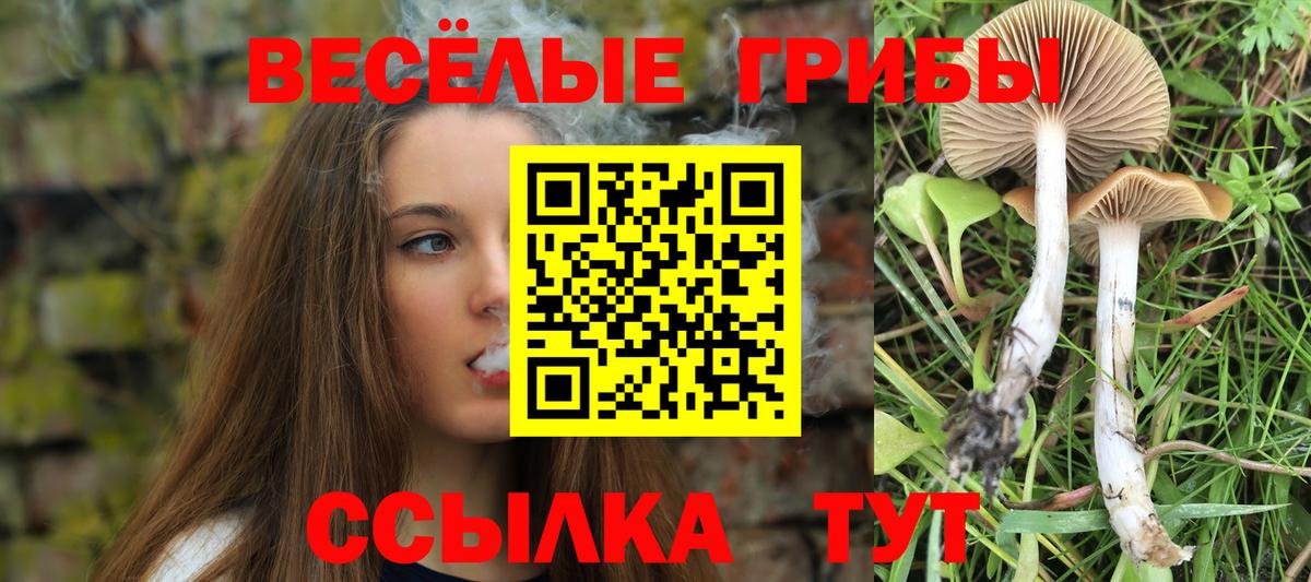 Псилоцибиновые грибы GOLDEN TEACHER Аргун
