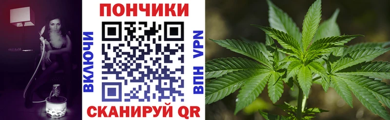 Бошки Шишки марихуана  где найти наркотики  гидра онион  Аргун 