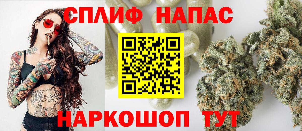 Бошки марихуана Amnesia Аргун